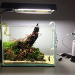 ho-thuy-sinh-nho-van-dung-co2-min - Review top 5 thiết bị CO2 chuyên dụng cho bể thủy sinh - Aquascape & Planted Tank Guide
