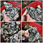 Đá kẹp kem siêu vân (Loại Đá Thuỷ Sinh Mới) 1kg- ✅setup bể thuỷ sinh - Đá Kẹp Kem Setup Hồ Thuỷ Sinh - Aquascape & Planted Tank Guide