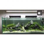 PHAN THIET MARBLE | AQUASCAPING SETUP - Phan Thiet Stone for Aquascaping Aquarium - Aquascape & Planted Tank Guide
