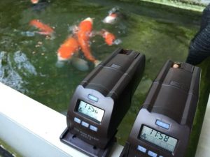 94554ff6fe322ad83936448ff93785ed-min-min (1)-min - Tìm hiểu về máy cho cá ăn tự động đang “hot” trên thị trường - Aquascape & Planted Tank Guide