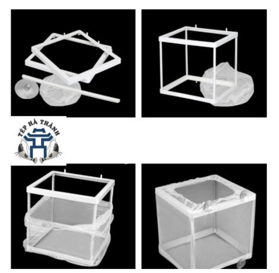 Lồng Dưỡng Cho Cá, Tép Cảnh - Lồng Dưỡng Cá - Aquascape & Planted Tank Guide