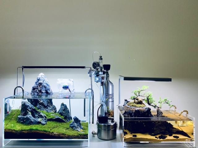 512a70329aa5d162f4ec655bf9930d29_tn - Khám phá hệ thống CO2 trong thủy sinh: Lợi ích, cách thiết lập và hạn chế - Aquascape & Planted Tank Guide