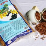 Fruits & vegetables for birds