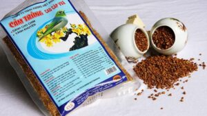 Fruits & vegetables for birds