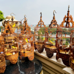Screenshot 2023-02-23 191929 - Những lợi ích của việc nuôi chim cảnh - Aquascape & Planted Tank Guide