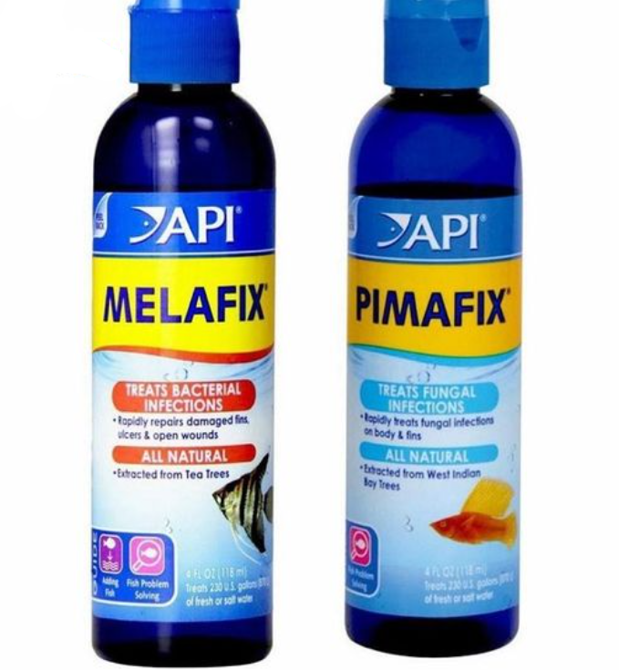 Screenshot_20230220_083811 - Giải mã sức mạnh của Melafix và Pimafix: Cách chữa bệnh cá siêu hiệu quả - Aquascape & Planted Tank Guide
