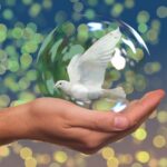 Dove / pigeon