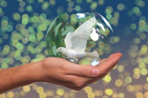 Dove / pigeon