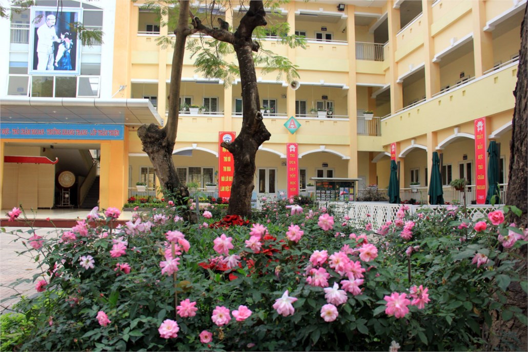 mt1 - Top những loài hoa thường được trồng để trang trí khuôn viên trường học - Aquascape & Planted Tank Guide