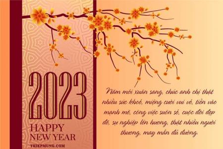 thiep-chuc-tet-nam-moi-2023-dep-1_628d2 - GIẢI MÃ CÁC Ý NGHĨA CỦA LOẠI HOA VÀO DỊP TẾT NGUYÊN ĐÁN - Aquascape & Planted Tank Guide
