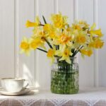 daffodils-glass-vase-getty-1221-2000-4fd4c8808a8b4e3e8ec1e12934ac9338 - Ý nghĩa của Thủy tiên hoa vàng – Daffodil - Aquascape & Planted Tank Guide