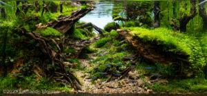 Four Winds valley - Aqua Plants Hub
