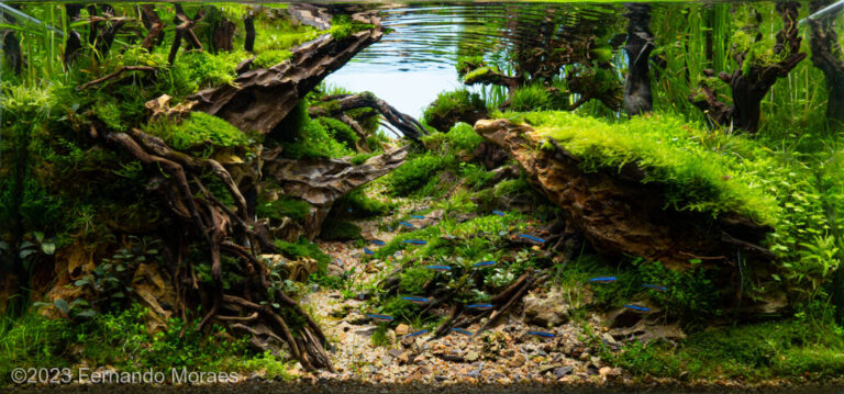 Four Winds valley