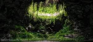 Flooded Cenote - Aqua Plants Hub