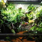 AGA 2023 Layout 124 - Aqua Plants Hub