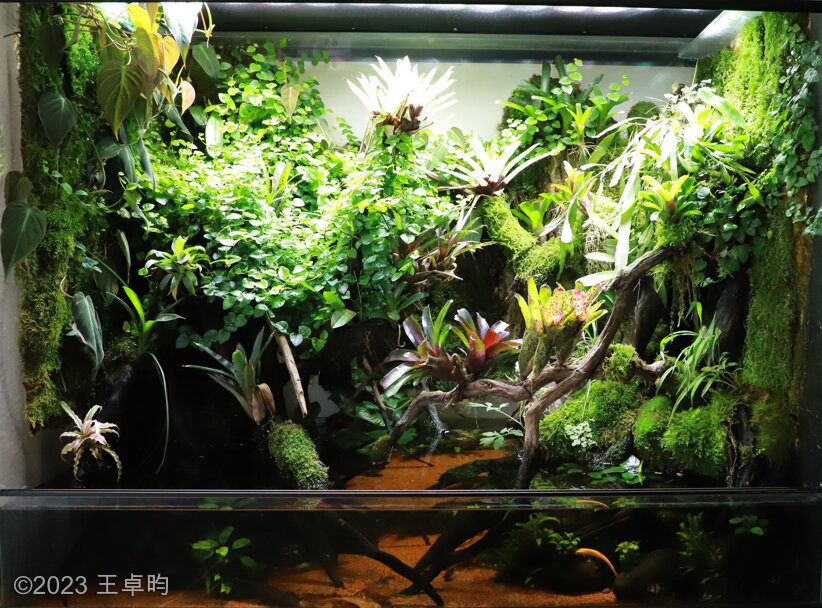AGA 2023 Layout 124 - Aqua Plants Hub