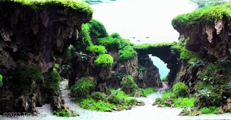 Heart of the Canyon