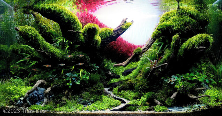 Forgotten land of the ancient ones