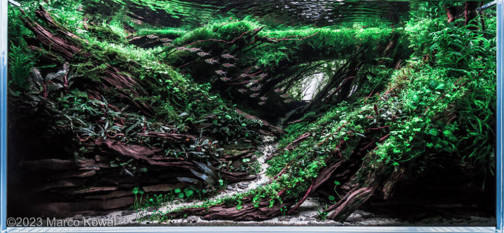 Verdant Haven - Aqua Plants Hub