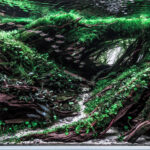 Verdant Haven - Aqua Plants Hub