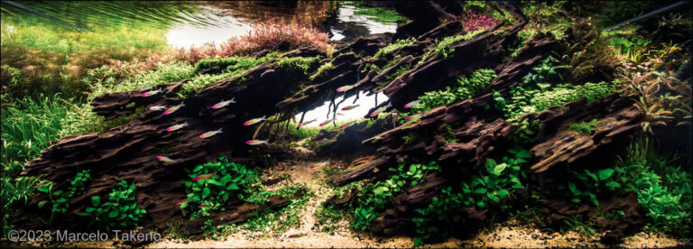 Eternity