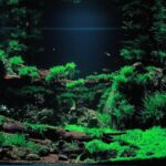 AGA 2023 Layout 145 - Aqua Plants Hub