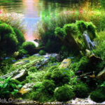 Ancient rock valley - Aqua Plants Hub