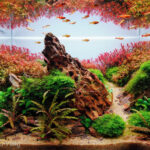 Whispers of Autumn - Aqua Plants Hub