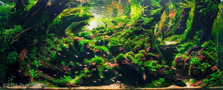 Underland