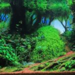 Forest - Aqua Plants Hub