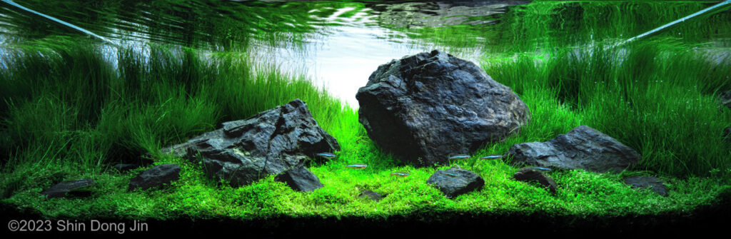 Abstract Serenity - Aqua Plants Hub