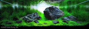 Abstract Serenity - Aqua Plants Hub