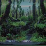Legok Lopang - Aqua Plants Hub