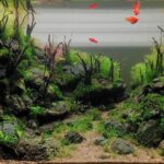 River & Sun - Aqua Plants Hub