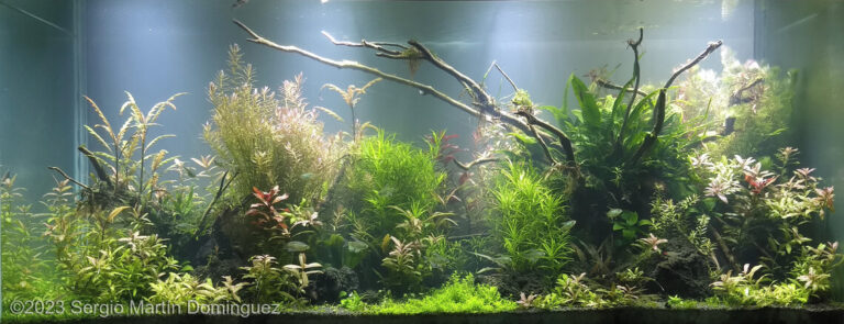 Resilient Nature