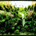 Unfurling nature - Aqua Plants Hub