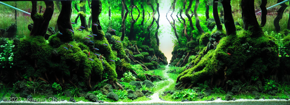 Genesis 3 - Aqua Plants Hub