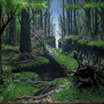 into the deep forest - Aqua Plants Hub