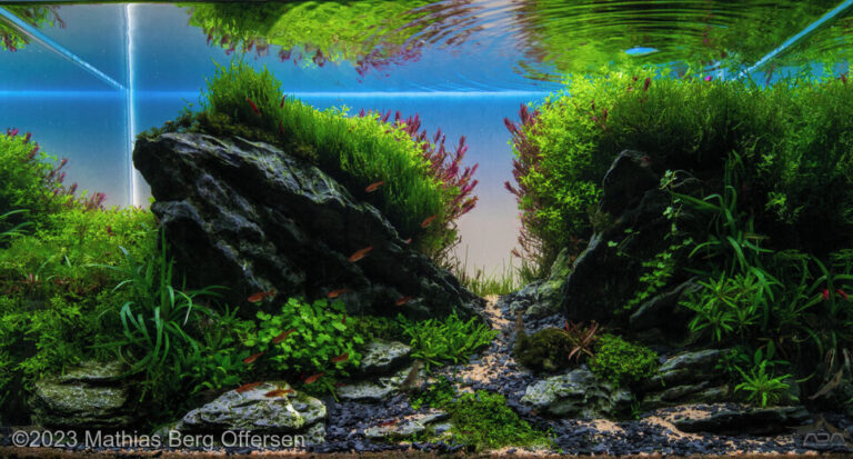 A morning in Little Valley