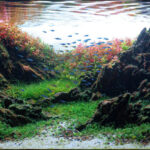 Ancestral Element of Fear - Aqua Plants Hub