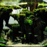 The Titan's Goblet - The Titan’s Goblet - Aqua Plants Hub
