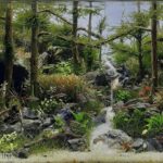 Bosque de Pinus - Aqua Plants Hub