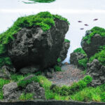Hidden Valley - Aqua Plants Hub