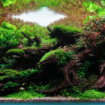 Farewell - Aqua Plants Hub