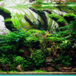 Riverflow - Aqua Plants Hub