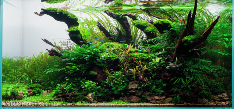 Riverflow