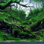 RESOUNDING - Aqua Plants Hub