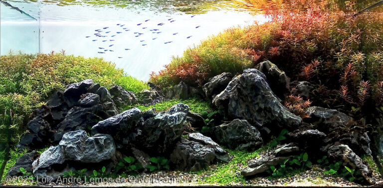 Autumn in the Mysterious Valley