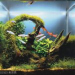 AGA 2023 Layout 289 - Aqua Plants Hub