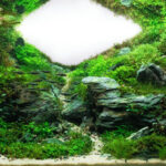 Water ways - Aqua Plants Hub